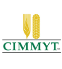 CIMMYT--BANGLADESH